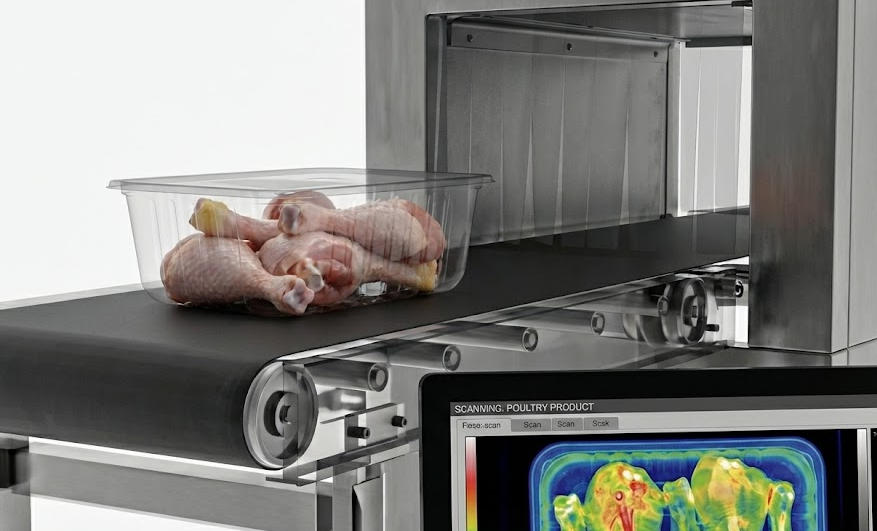 xray fat analysis.jpg